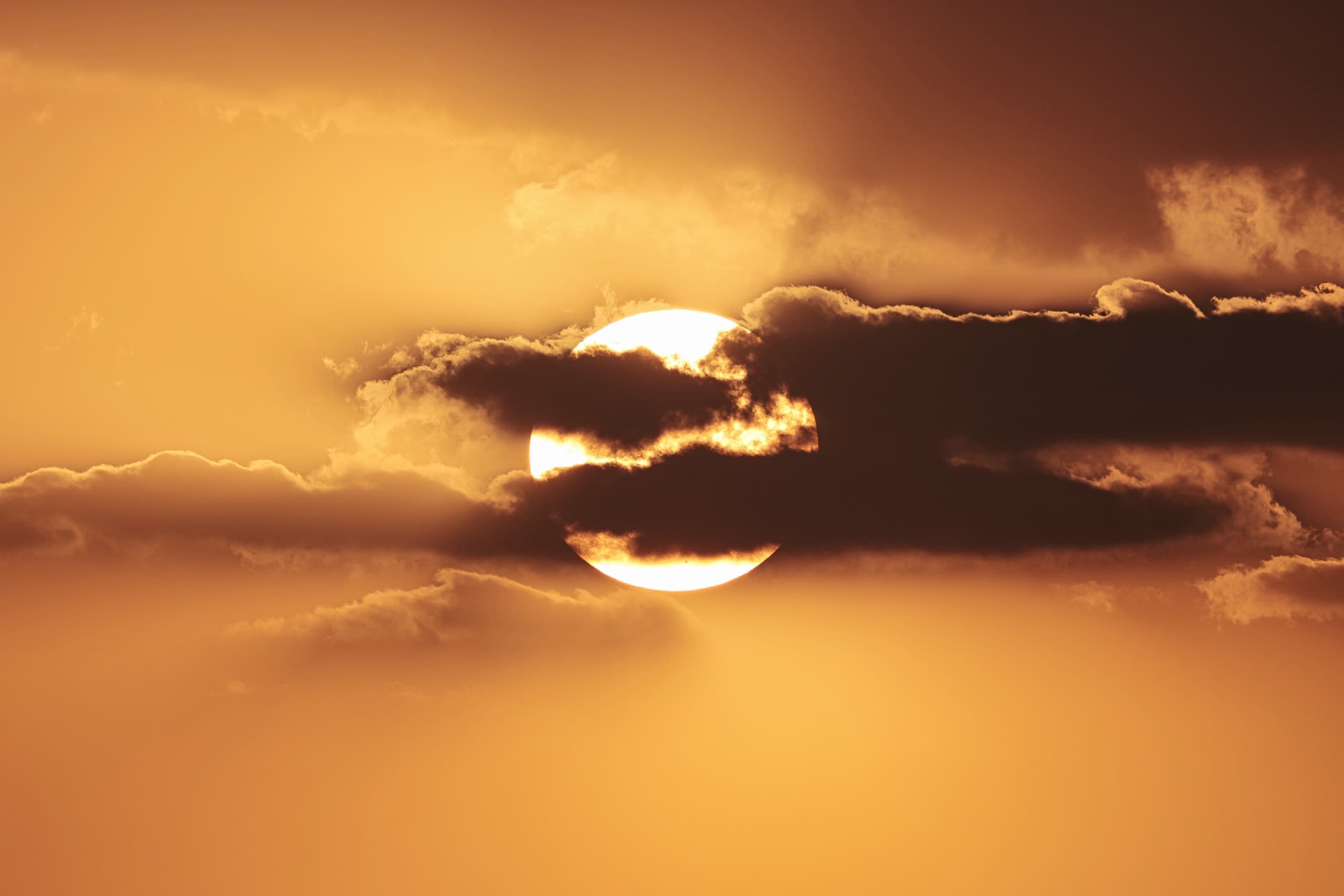 SUN
