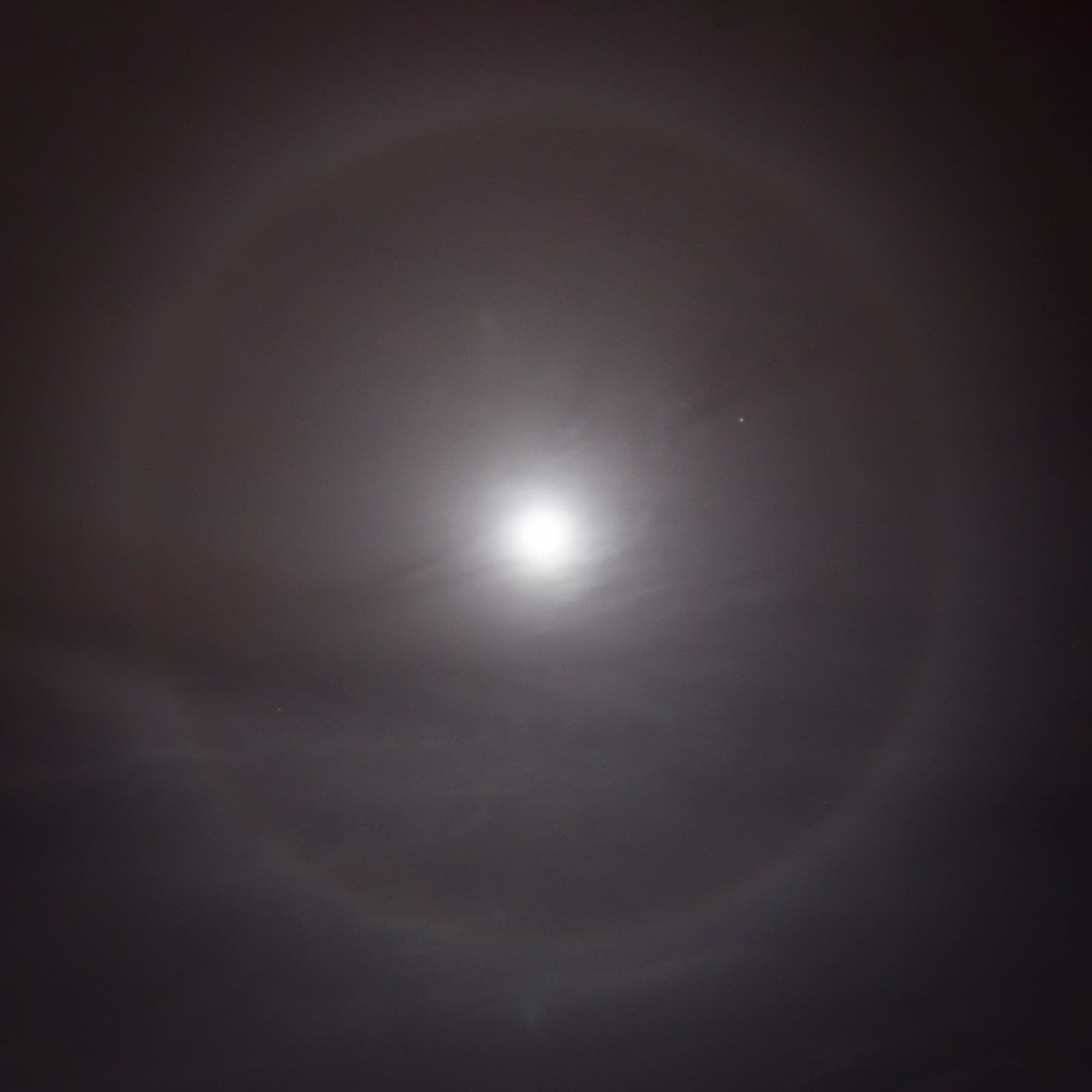 HALO