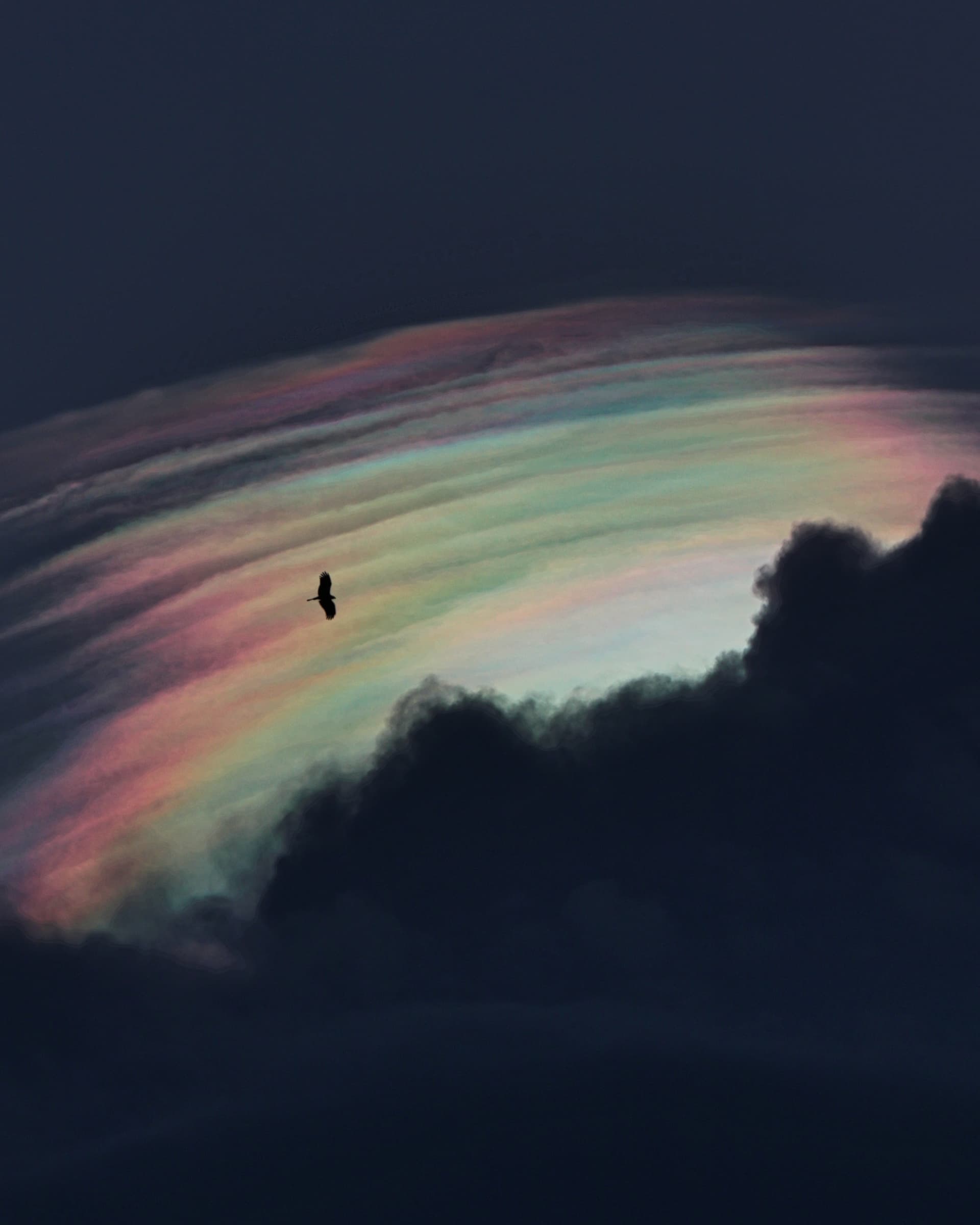 SKY OIL SPILL