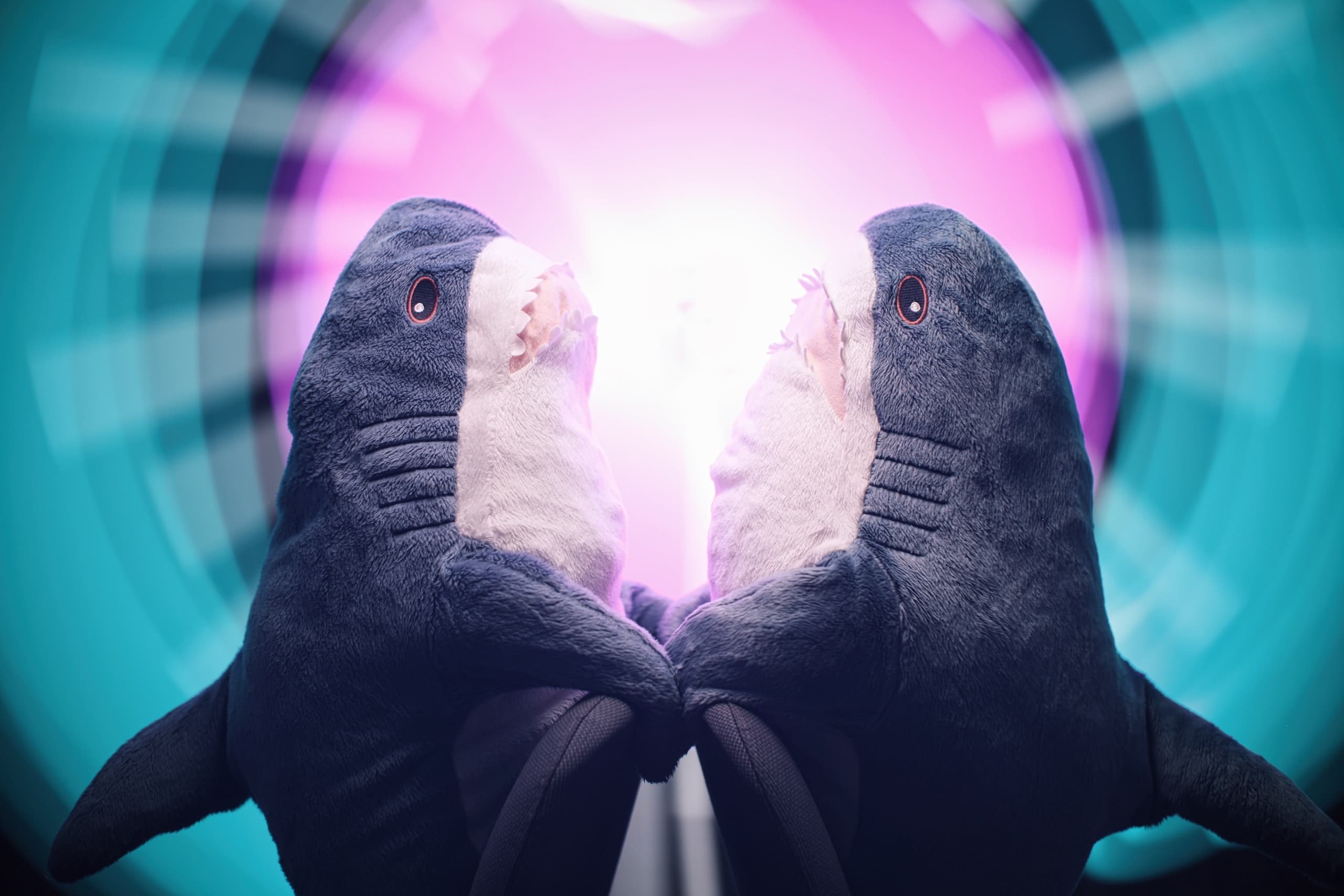 BLAHAJ²