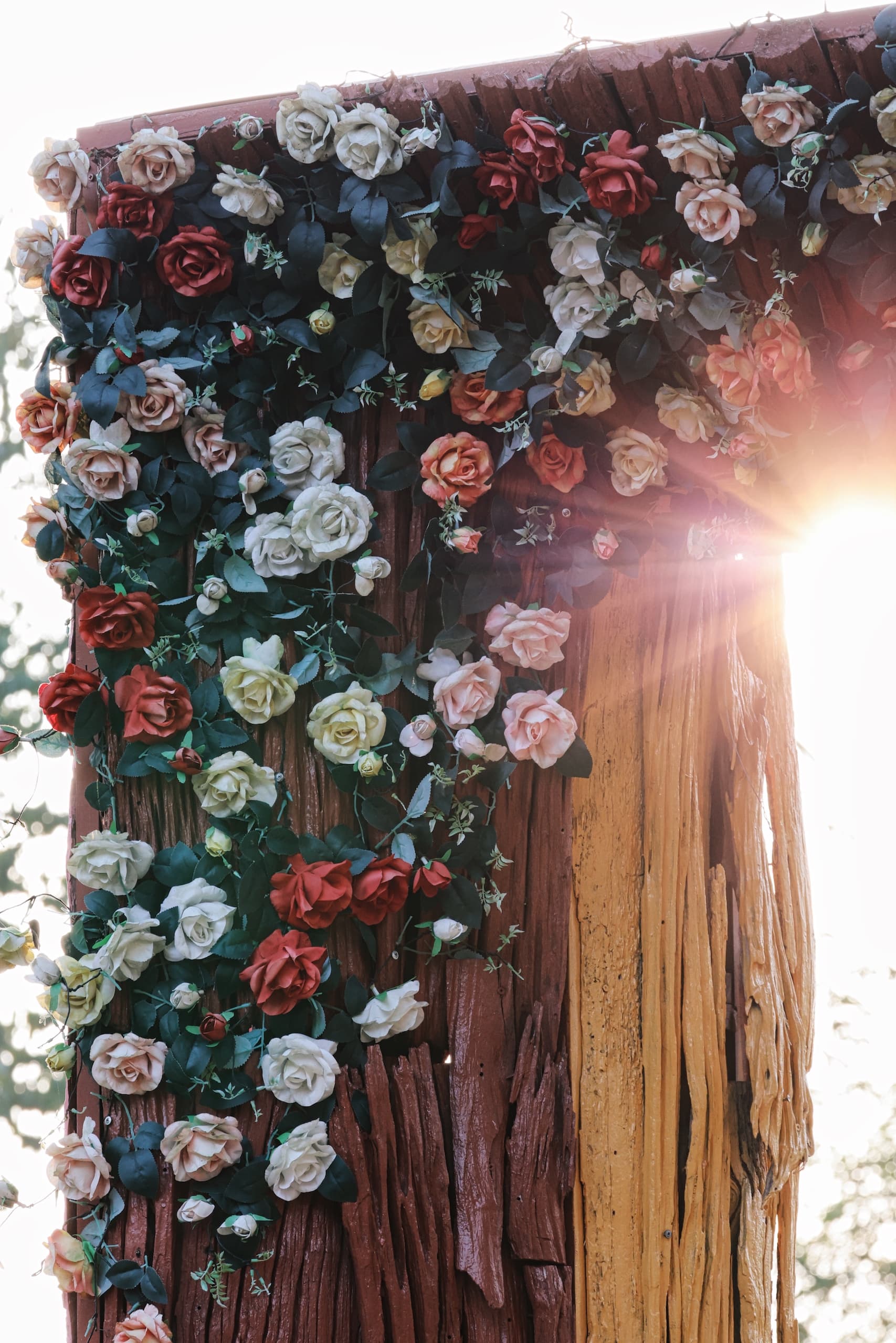 CANOPY