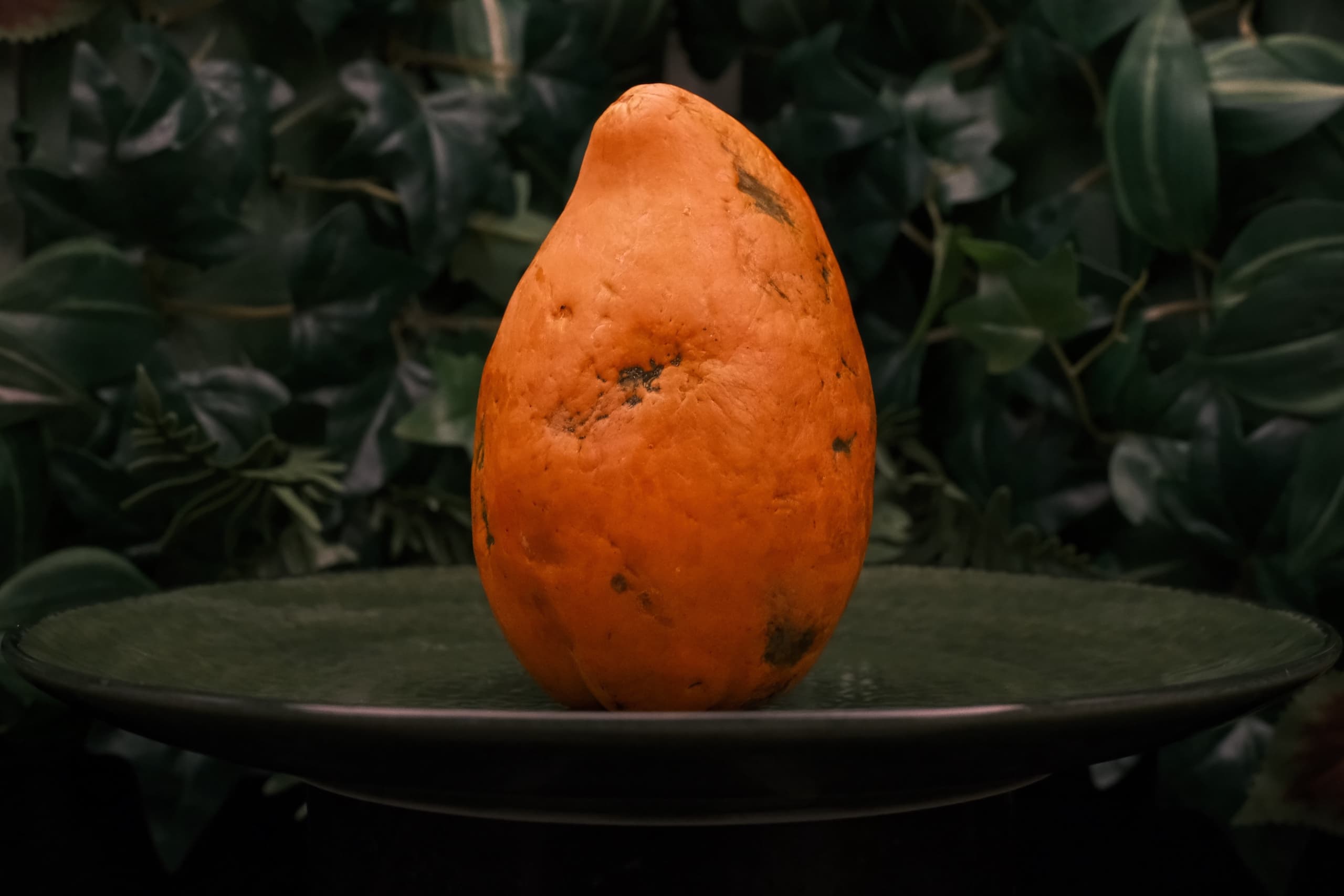 PAPAYA