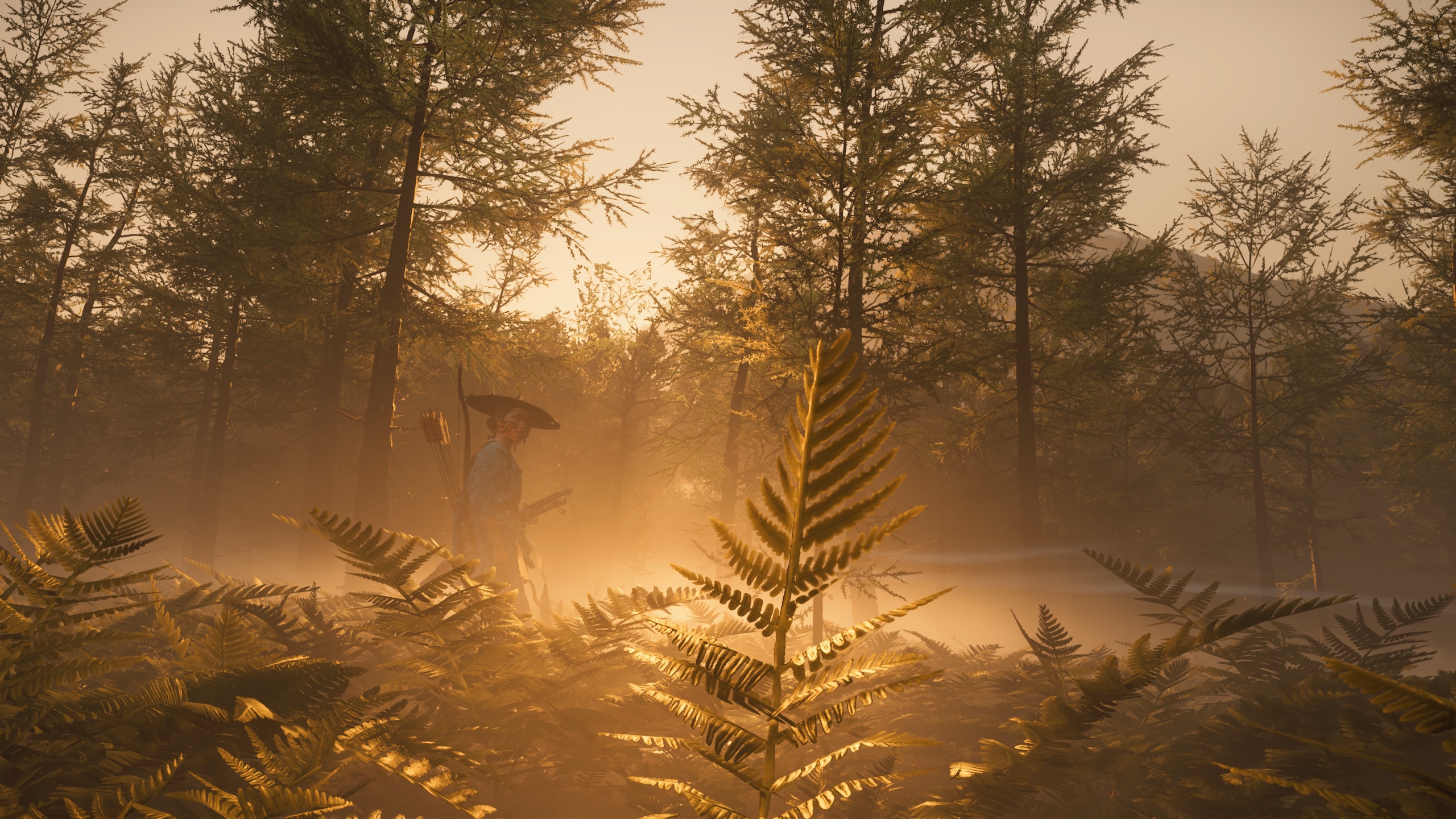 Walking about in golden hour