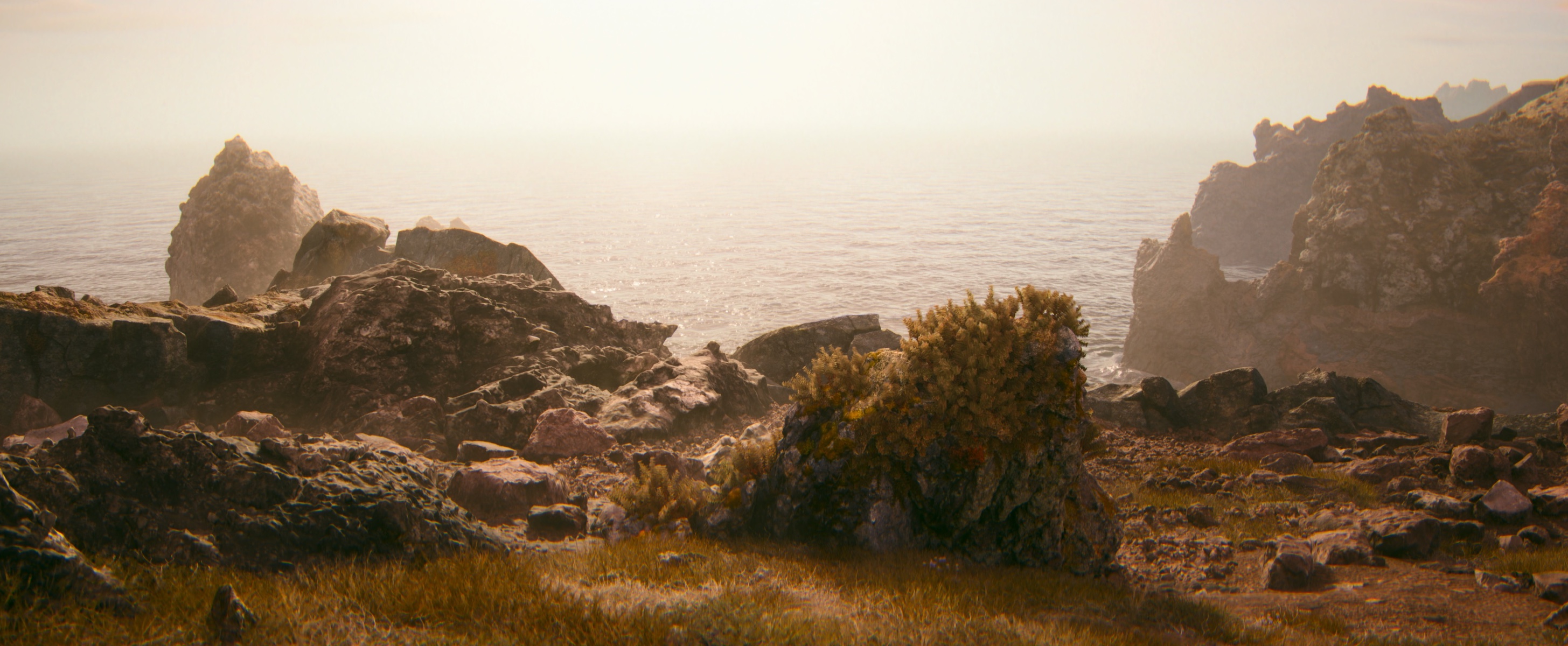Ocean