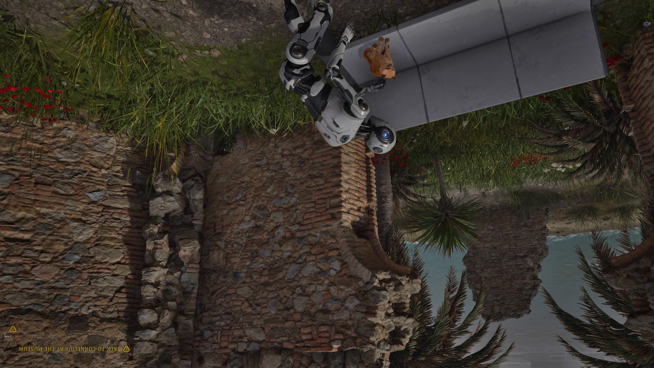 Pet that kitty Pet that kitty