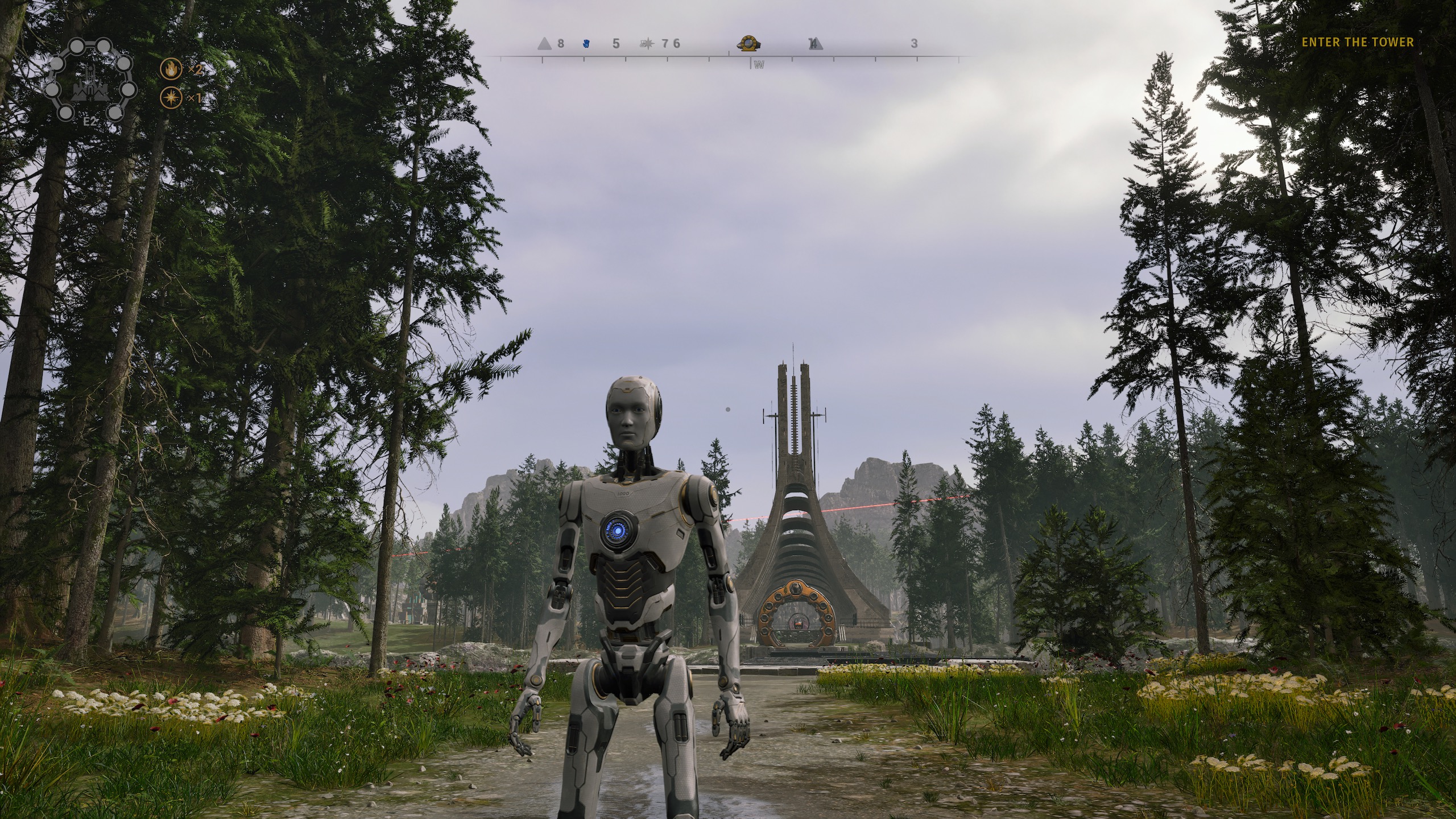 Wooden plateau Wooden plateau